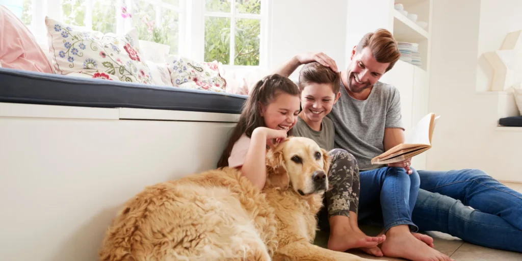 responsabiliser enfant animal compagnie