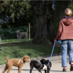 parc Martin Luther King