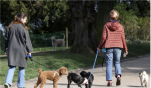 parc Martin Luther King